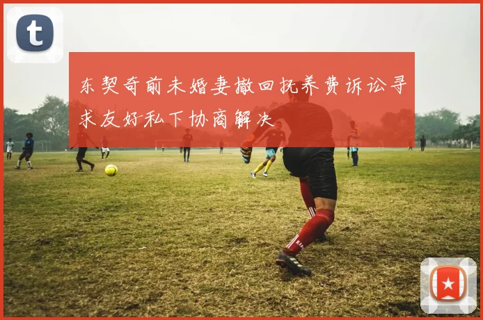 东契奇前未婚妻撤回抚养费诉讼寻求友好私下协商解决