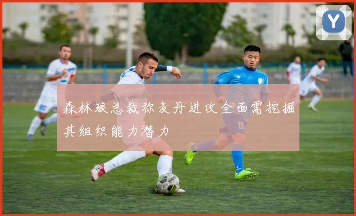 森林狼总裁称麦丹进攻全面需挖掘其组织能力潜力